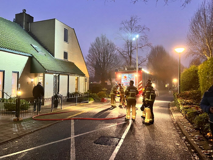 Brandweer Haalt Kat Uit Boom Ermelosezaken Nl