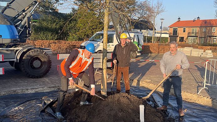 Bomen gemeente Ermelo