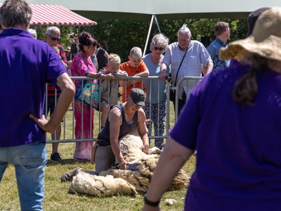 Zaterdag 1 juni 2024: Wol- en schaapscheerfestijn