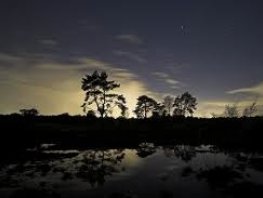 Beleef de Nacht van de Nacht bij de schaapskooi in Ermelo!