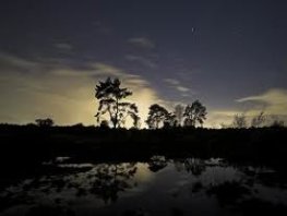 Beleef de Nacht van de Nacht bij de schaapskooi in Ermelo!