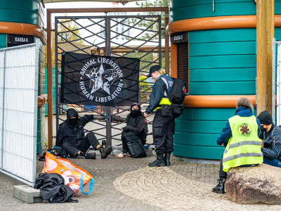 Dierenactivisten blokkeren ingang Dolfinarium Harderwijk park gesloten