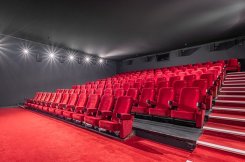 Filmoverzicht Kok CinemaxX Harderwijk en Lelystad 14 november tot en met 20 november 2024