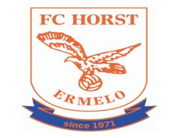 Ricardo van de Pol nieuwe hoofdtrainer van FC Horst