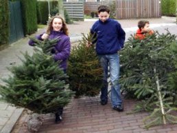 Lever kerstbomen in en verdien € 0,50 per boom