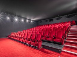 Filmoverzicht Kok CinemaxX Harderwijk en Lelystad 9 januari tot en met 15 januari 2025