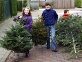 Kerstbomenactie in Ermelo was een groot succes 